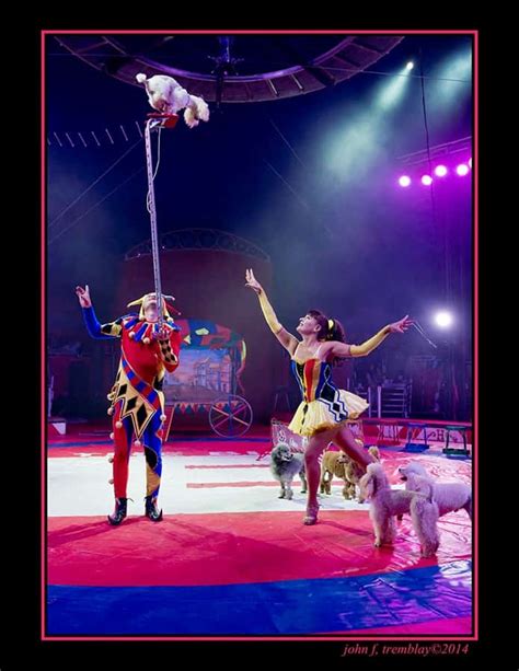 Travel circus in Florida. Circus performers for hire in Orlando