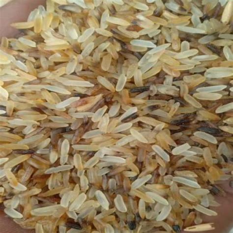 Golden Rejected Broken Rice Loose At Rs 30 Kg In Medak ID 2853772985688