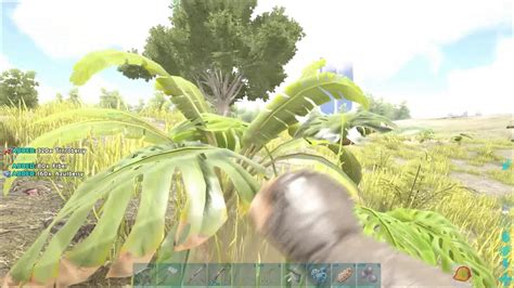 Ark Survival Evolved Ascension The Island Ep 1 Youtube