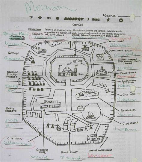 Plant Cell City Analogy