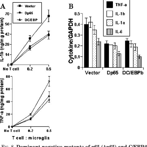 Figure From Role Of Very Late Antigen Vla In Myelin Basic