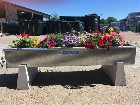 How to plant a water trough planter