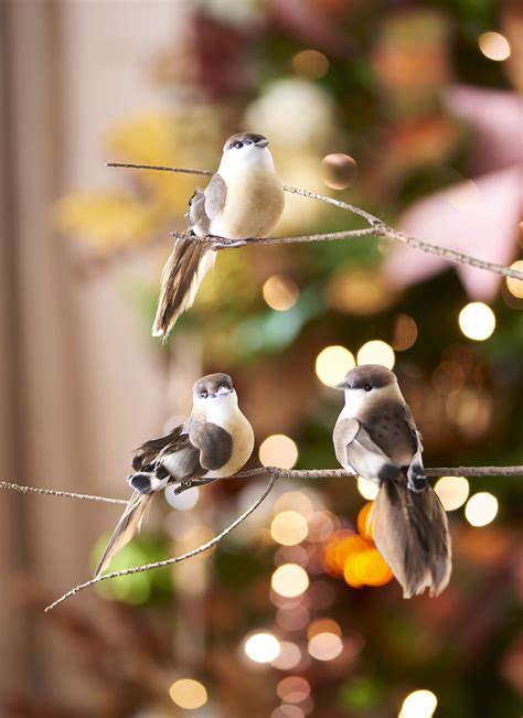 Christmas Clip On Bird Ornaments Arbutus Crafts Clip Art Library