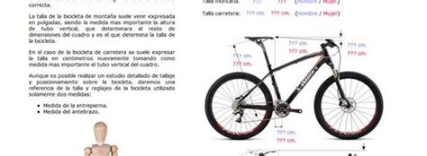 Como Calcular La Talla De La Bicicleta Consejos Bicicletas