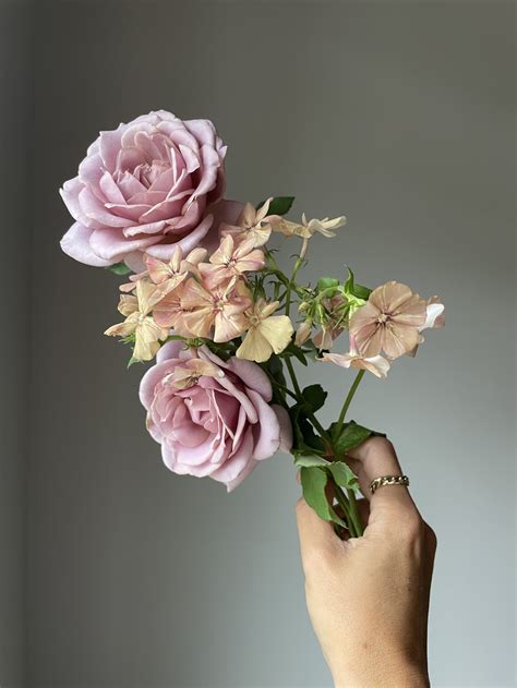 Fedusiak funeral home recent obits updates will impact local family gatherings 1