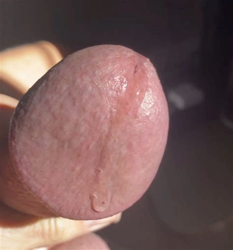 Closeup Of My Beautiful Cock Nude Pics XHamster