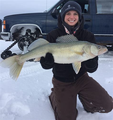 Lake Winnipeg Ice Fishing guide trophy Greenback walleye selkirk