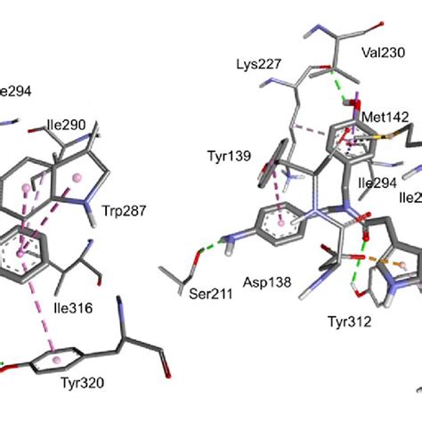 Side Views Of The Predicted Binding Modes For Peptides 2 Left And 5