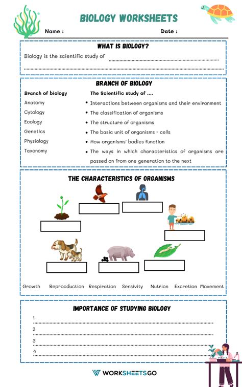 What is Biology Worksheets | WorksheetsGO