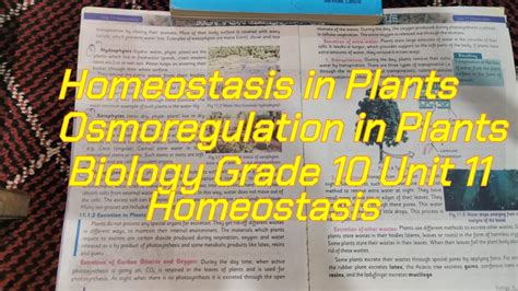 Homeostasis In Plants Osmoregulation In Plants Biology Grade 10