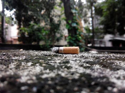 Download free photo of Cigarette,tobacco,addiction,smoke,health - from ...