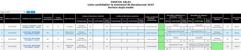 Candidații cu media 10 la BAC 2023 Cei mai mulți sunt din București