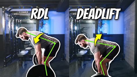 Rdl Vs Deadlift Difference In Form Muscles Worked Demonstrated Youtube