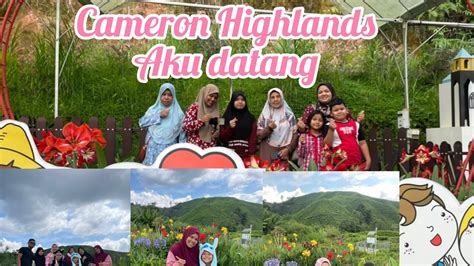 Jalan Jalan Cameron Highlands Ni Last Xmau P Dah Sakit Kepala Gaiss