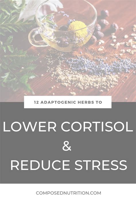 Adaptogenic Herbs To Lower Cortisol And Reduce Stress Lower