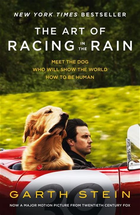 The Art Of Racing In The Rain By Garth Stein