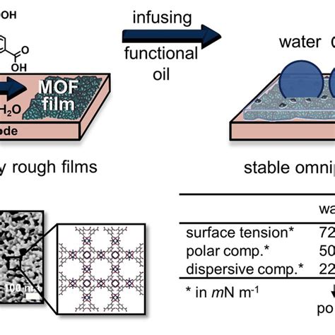 Electrodeposition Of Rough Mof Films As Support Matrix For Stable