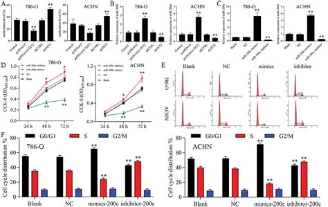 Tet Methylcytosine Dioxygenase Suppresses Renal Cell Cancer