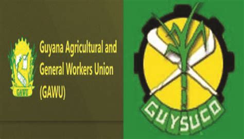 GuySuCo 2nd Crop Production Behind Schedule GAWU Guyana Times