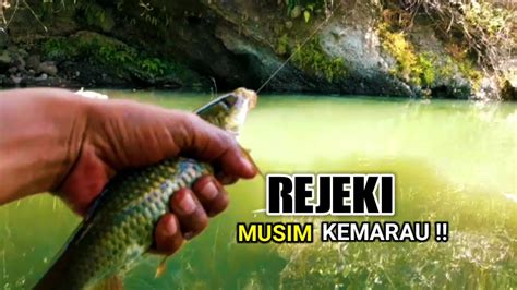 Rejeki Semua Sungai Surut Pemancing Ini Masih Bisa Strike Melem