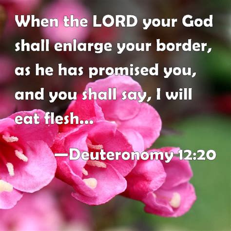 Deuteronomy When The Lord Your God Shall Enlarge Your Border As