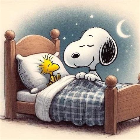 Pin By Ronja Ronja On Snoopy In 2024 Snoopy Pictures Snoopy