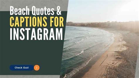 150 Best Beach Quotes Captions For Instagram NetOffer