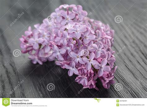 Purple Lilac Flowers On Old Oak Table Stock Image Image Of Floral