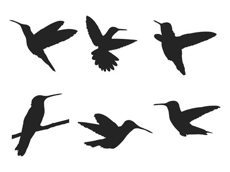 Humming Bird Set Silhouette Isolated Vector 3537439 Vector Art At Vecteezy