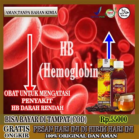 Obat Meningkatkan Hb Dengan Cepat Homecare