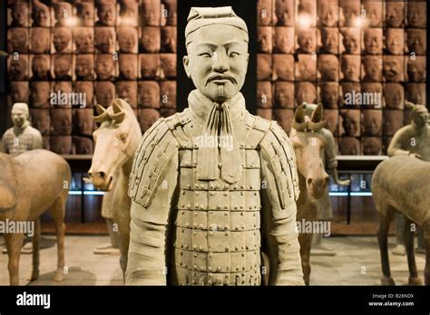 Terracotta Warrior Horses On Display In The Shaanxi History Museum Xian