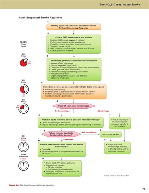 Acls Manual 2021 Pdf Free