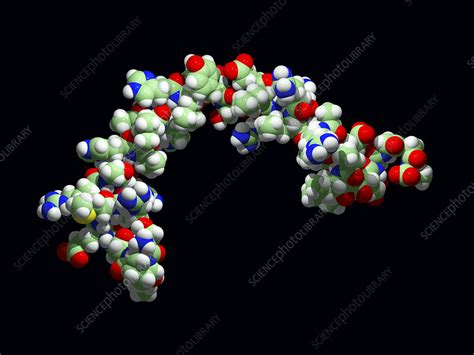 Section of human apolipoprotein A-I - Stock Image - A617/0214 - Science ...