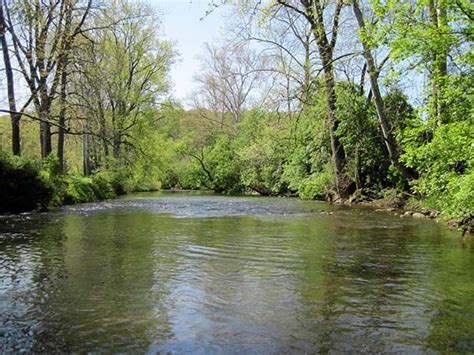 Clear Fork River – CFRTU