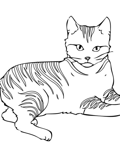 Gato Desenho Para Colorir