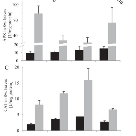 Activity of antioxidative enzymes SOD U SOD CAT μmol min 1 mg