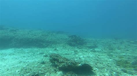 Douglas Shoal Sediment Sampling Panorama Video A Gh