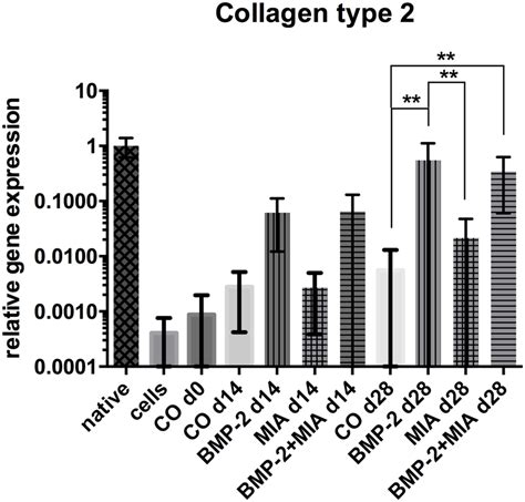 Relative Gene Expression Of Col A Relative Gene Expression Of Col A