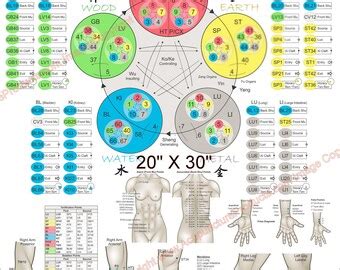 Applied Kinesiology Chart Etsy