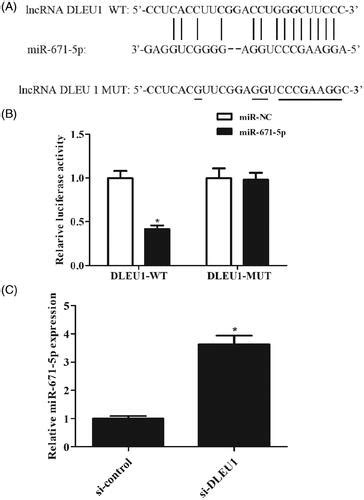 Full Article Long Noncoding Rna Dleu Aggravates Osteosarcoma