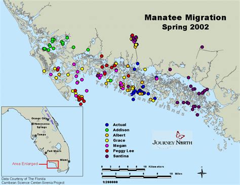 Journey North Manatees - Manatee Florida Map | Printable Maps