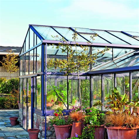 clean  greenhouse expert tips advice  hacks ideal home