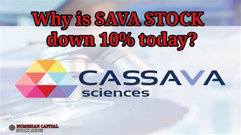 Why Is Cassava Sciences Sava Stock Down 10 Today Youtube