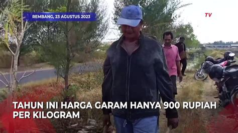 Frustrasi Petani Garam Di Rembang Buang Hasil Panen Ke Jalanan