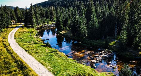 Rowerem po Górach Izerskich trasy rowerowe w okolicach Jakuszyc