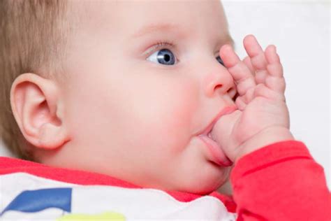 Chuparse El Pulgar Un Problema Para La Salud Bucal