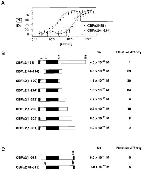 Modulation Of CBF2 DNA Binding By C Terminal Sequences A Equilibrium