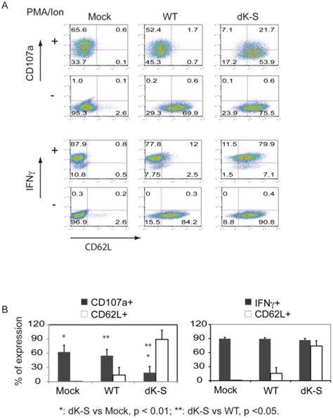 A Jkf Lines Expressing Cd L And Mutant Dk S Were Activated Using