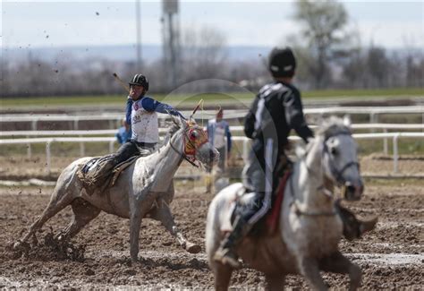 Turkish Horse Javelin League Final Anadolu Ajansı