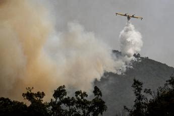 Sardegna Devastata Dagli Incendi Coldiretti Centinaia Di Ettari A